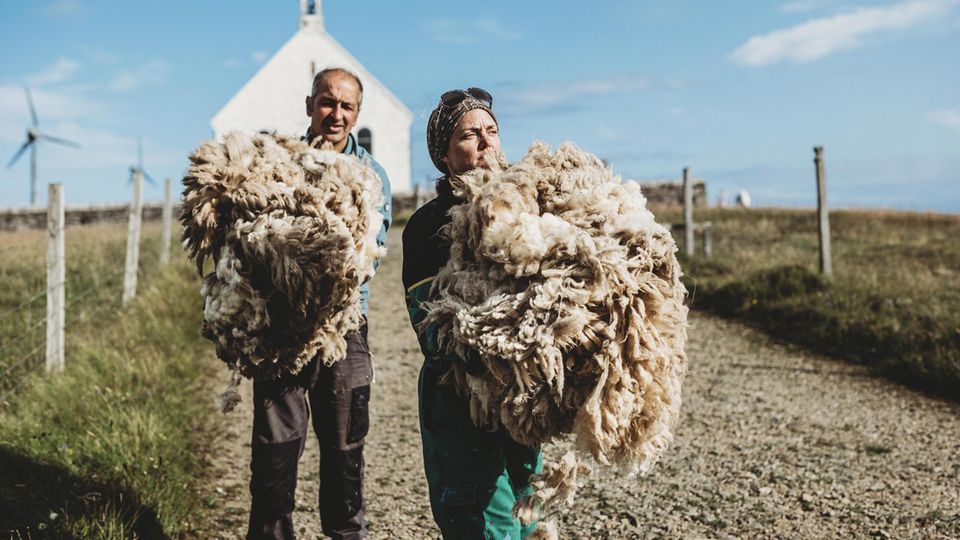 Berühmte Wolle: Deryk, 53, und Hollie Shaw, 49, mit zwei frisch geschorenen Büscheln Schafwolle. Sie ist die Grundlage für die weltberühmte Strickmode von der Insel – eine wichtige Einnahmequelle für die Bewohner