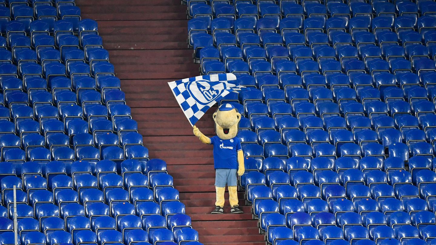 Schalke 04