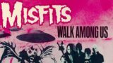 The Misfits