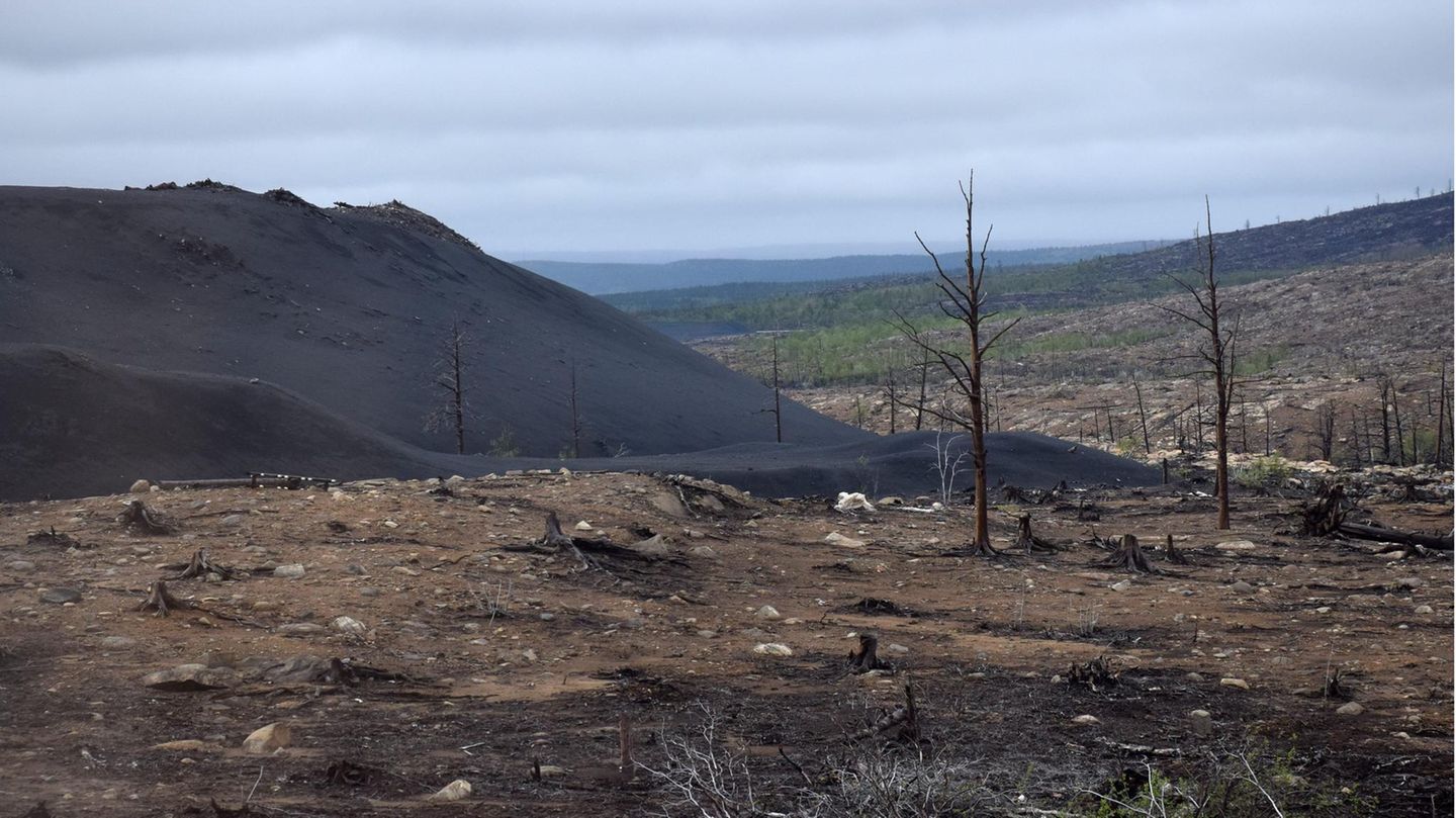In der ganzen Region der Kola-Halbinsel wurde die Luft verpestet und die Vegetation verwüstet. Über viele Quadratkilometer hinweg starben alle Bäume ab.
