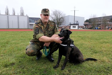 Ein Bundeswehr-Offizier hält einen Therapiehund an der Leine.