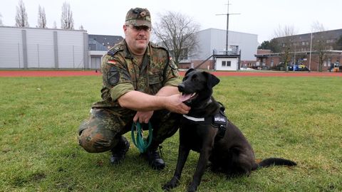 Ein Bundeswehr-Offizier hält einen Therapiehund an der Leine.
