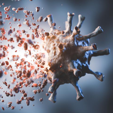 Zerfallendes Coronavirus
