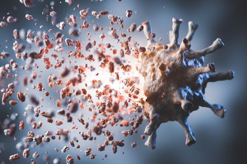 Zerfallendes Coronavirus
