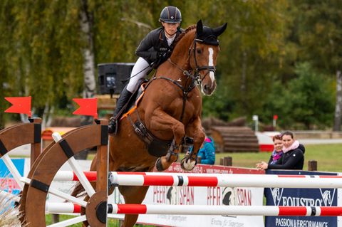 Ein Turnier im Springreiten