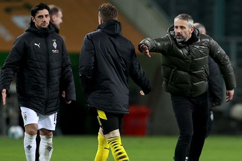 Borussia Mönchengladbach Dortmund Rose