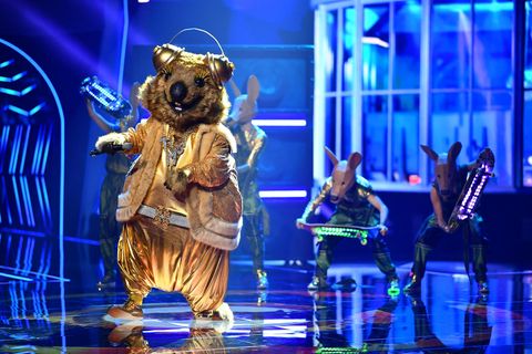 Die Figur "das Quokka" tritt bei der zweiten Folge ProSieben-Show "The Masked Singer" auf