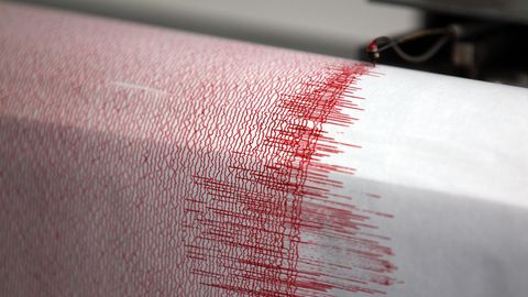Ein Seismograph einer Erdbebenwarte verzeichnet Ausschläge (Archivfoto)