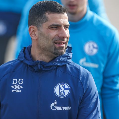 Königsblau vor Abstieg: Grammozis bekennt Liebe zu Schalke 04 – und startet "Mission impossible"