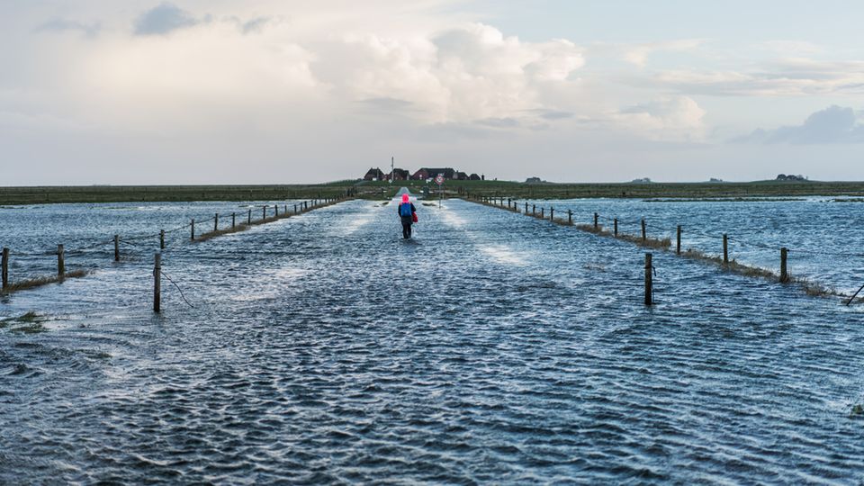 From North To South Ein Mann watet durchs Meerwasser zu seinem Haus