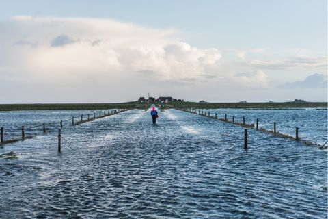 Ein Mann watet durchs Meerwasser zu seinem Haus