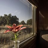 Platz nehmen in den plüschigen Schlafwagen mit viel poliertem Walnussholz und Messingbeschlägen. Einige der Waggons haben sogar Bäder mit Badewannen.