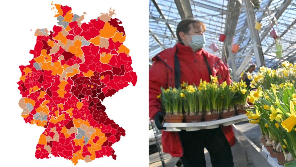 Nachrichten aus Deutschland: Einbrecher stehlen 242 iPads aus Berliner Schule Nachrichten aus Deutschland: Einbrecher stehlen 242 iPads aus Berliner Schule