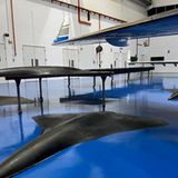 Zwei Prototypen des Arrows werden derzeit erprobt.