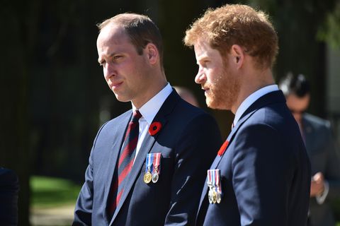 Prinz William und Prinz Harry