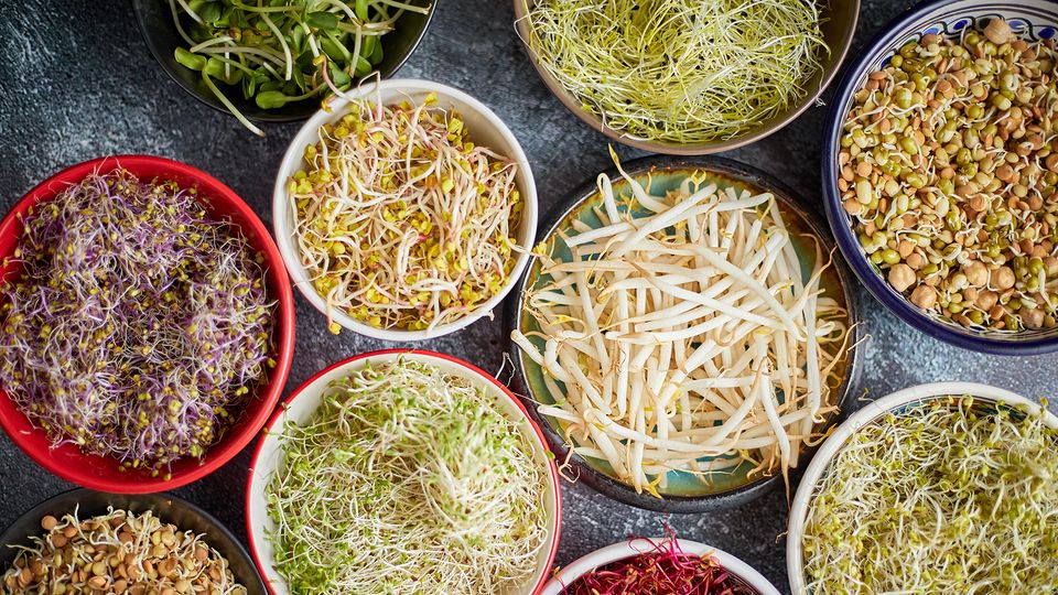 Neuer Food-Trend Microgreens (Symbolbild) Neuer Food-Trend Microgreens (Symbolbild)