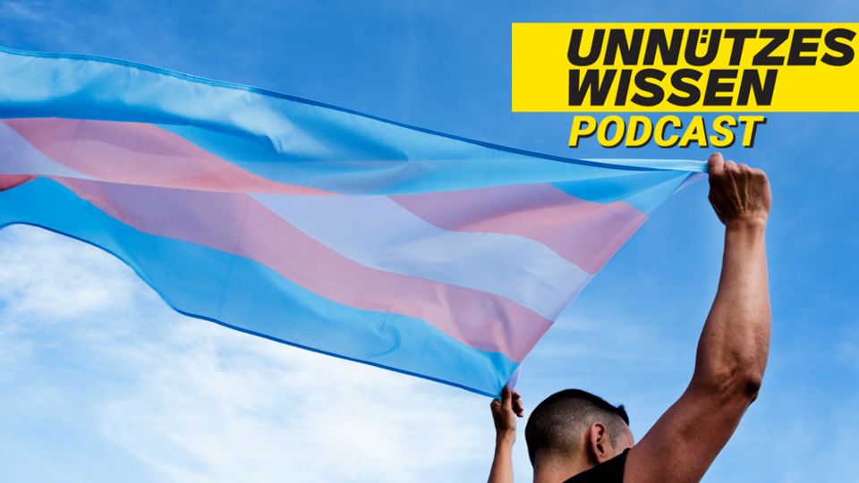 Unnützes Wissen: Passing, Questioning, Genderfuck – zwei Transmänner reden über ihre Erfahrungen