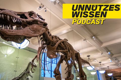 Unnützes Wissen: Dinosaurier lebten deutlich länger auf der Erde als Menschen