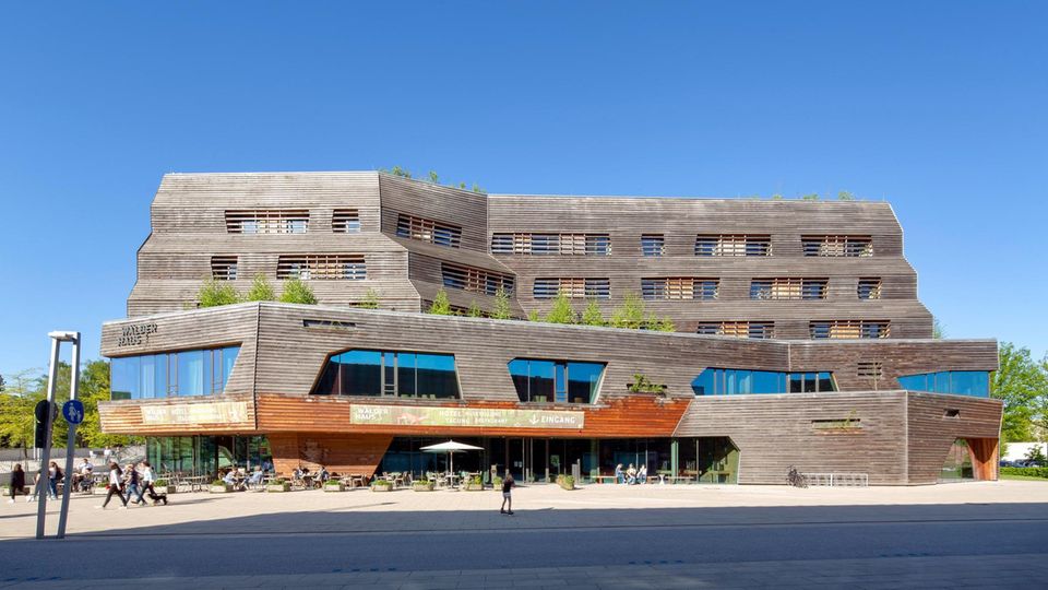 Ein nachhaltiges Hotel  mit Waldausstellung im Stadtteil Veddel: das aus Holz erbaute Wälderhaus.