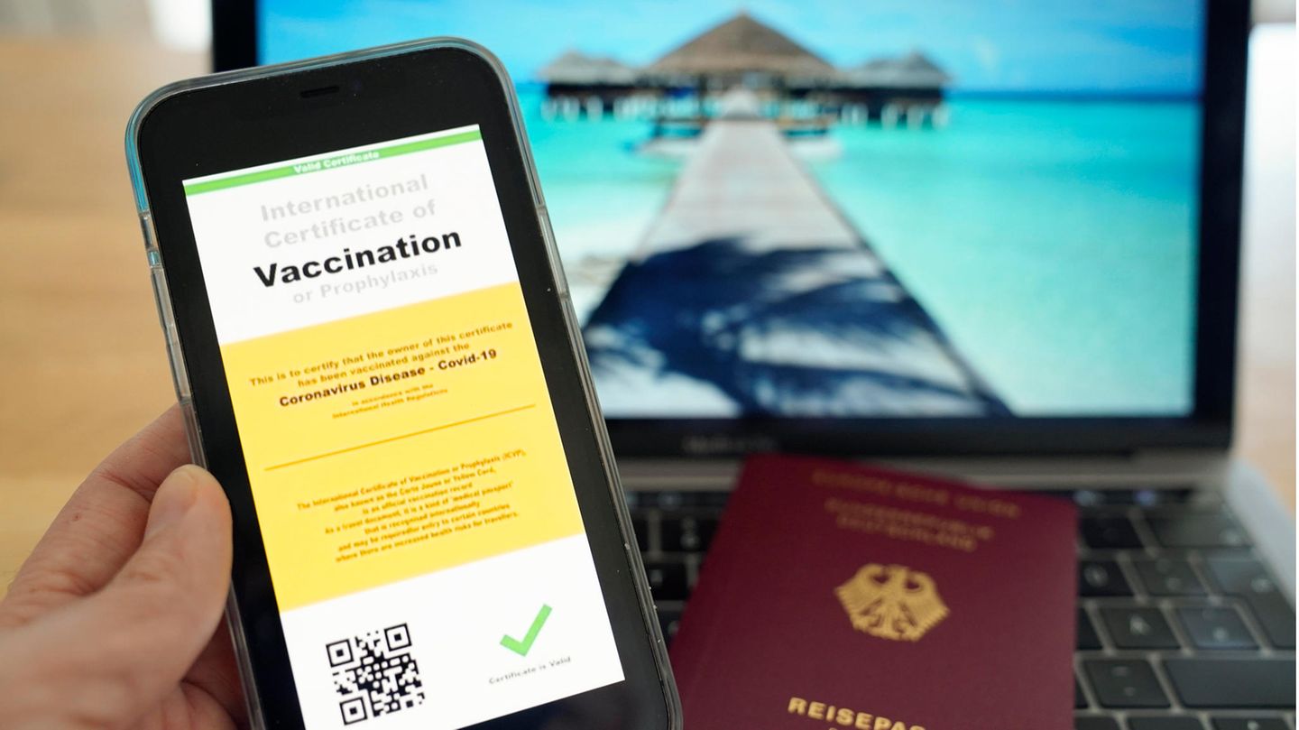 Im Sommer könnte es möglich werden, mit einem digitalen Impfpass zu reisen.