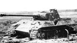 Abgeschossener Panther.