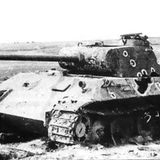 Abgeschossener Panther.