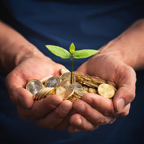 Geld liegt in der Hand und daraus wächst eine Pflanze