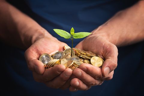 Geld liegt in der Hand und daraus wächst eine Pflanze