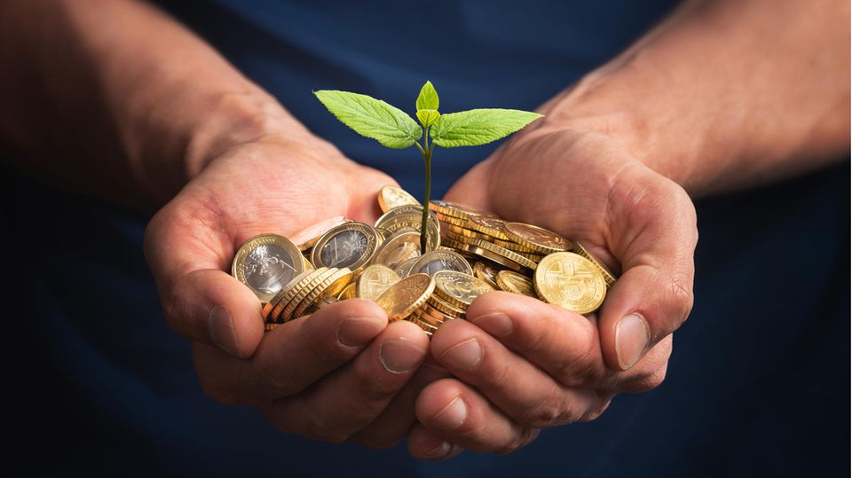 Geld liegt in der Hand und daraus wächst eine Pflanze