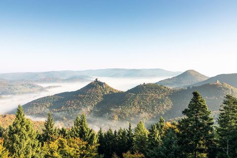 Der zweiteilige Film "Der Pfälzerwald rund ums Jahr" führt durch das Biosphärenreservat Pfälzerwald und ist der Beweis, "dass es nicht zwingend notwendig ist, viele tausend Kilometer weit zu reisen, um einen bildstarken und facettenreichen Reisefilm zu machen.", so die VDRJ-Jury.