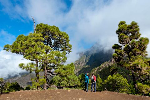 Paradies für Outdoor-Enthusiasten: die Kanareninsel La Palma
