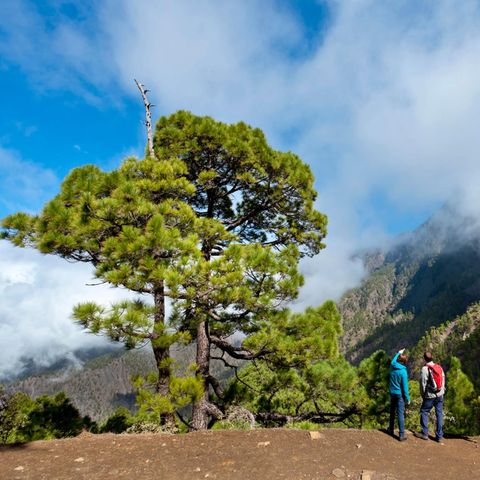 Paradies für Outdoor-Enthusiasten: die Kanareninsel La Palma