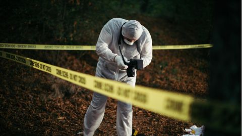 Die Polizei hat menschliche Überreste in einem Wald in Ashford in Großbritannien entdeckt (Symbolbild)