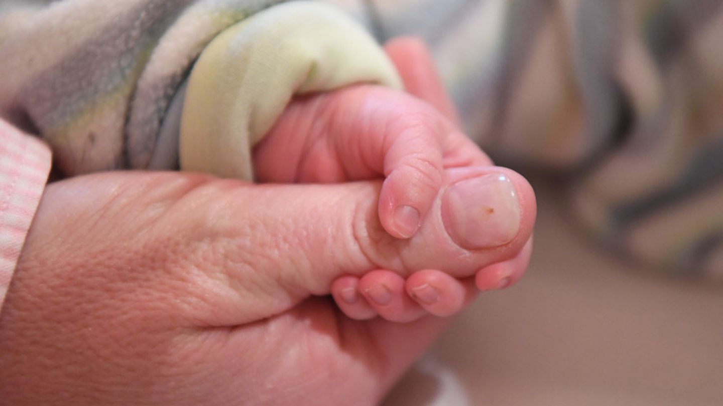 Eine Erwachsenenhand hält eine Babyhand