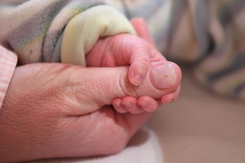 Eine Erwachsenenhand hält eine Babyhand