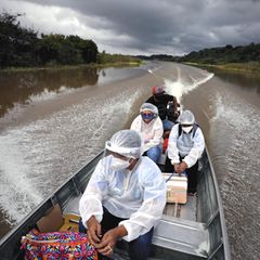 P1-Corona-Mutation in Brasilien: "Der perfekte Sturm": Darum wütet Corona gerade so dramatisch in Manaus