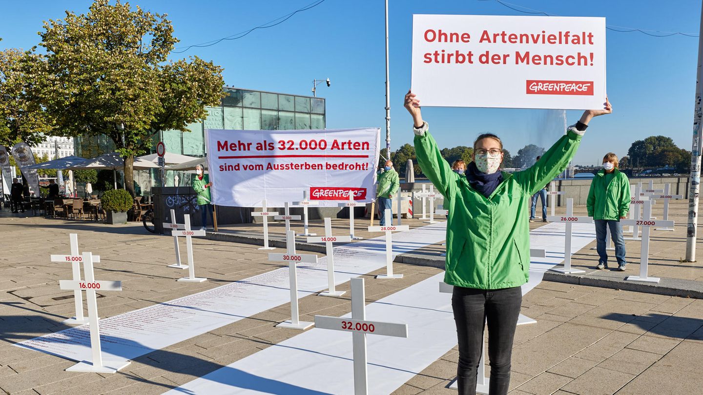 Aktion von Greenpeace Ende Spetember 2020 in Hamburg anlässlich des UN-Gipfel zur biologischen Vielfalt für die Rettung der Artenvielfalt.