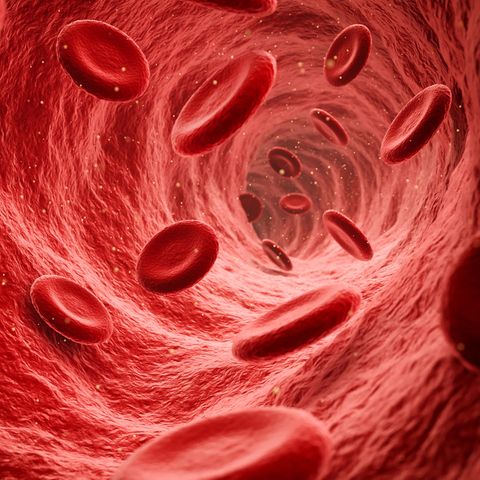 Hirnvenenthrombosen