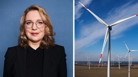 Wirtschaftswissenschaftlerin Kemfert: "Wir müssen die Klimakrise jetzt bekämpfen und den Ausbau der Erneuerbaren Energien jetzt voranbringen"