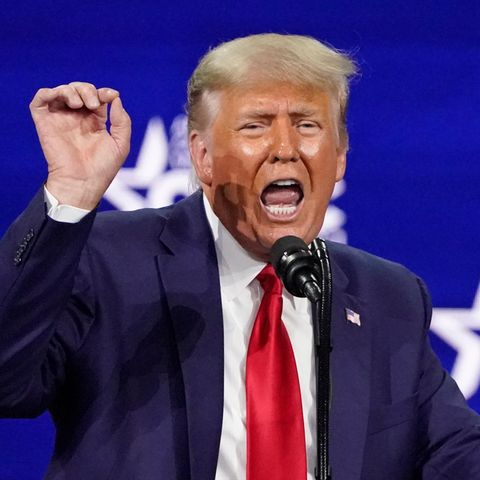 Donald Trump spricht laut und gestikuliert