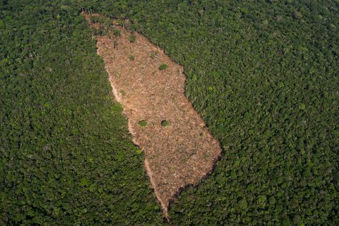 Amazonas