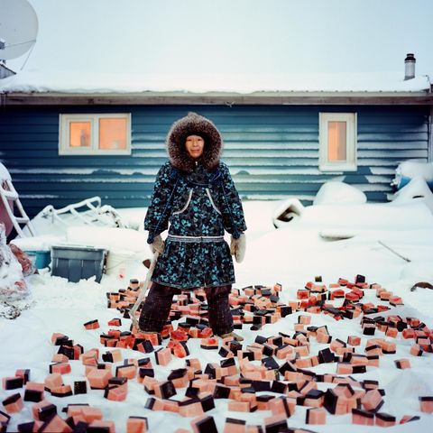 Eine Frau in Kaktovik, Alaska, präpariert Walfleisch – für die indigene Bevölkerung ein wichtiges Lebensmittel. Ihr Risiko, an Darmkrebs zu erkranken, ist sehr hoch