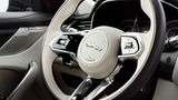 Das Lenkrad passt gut zum Cockpit