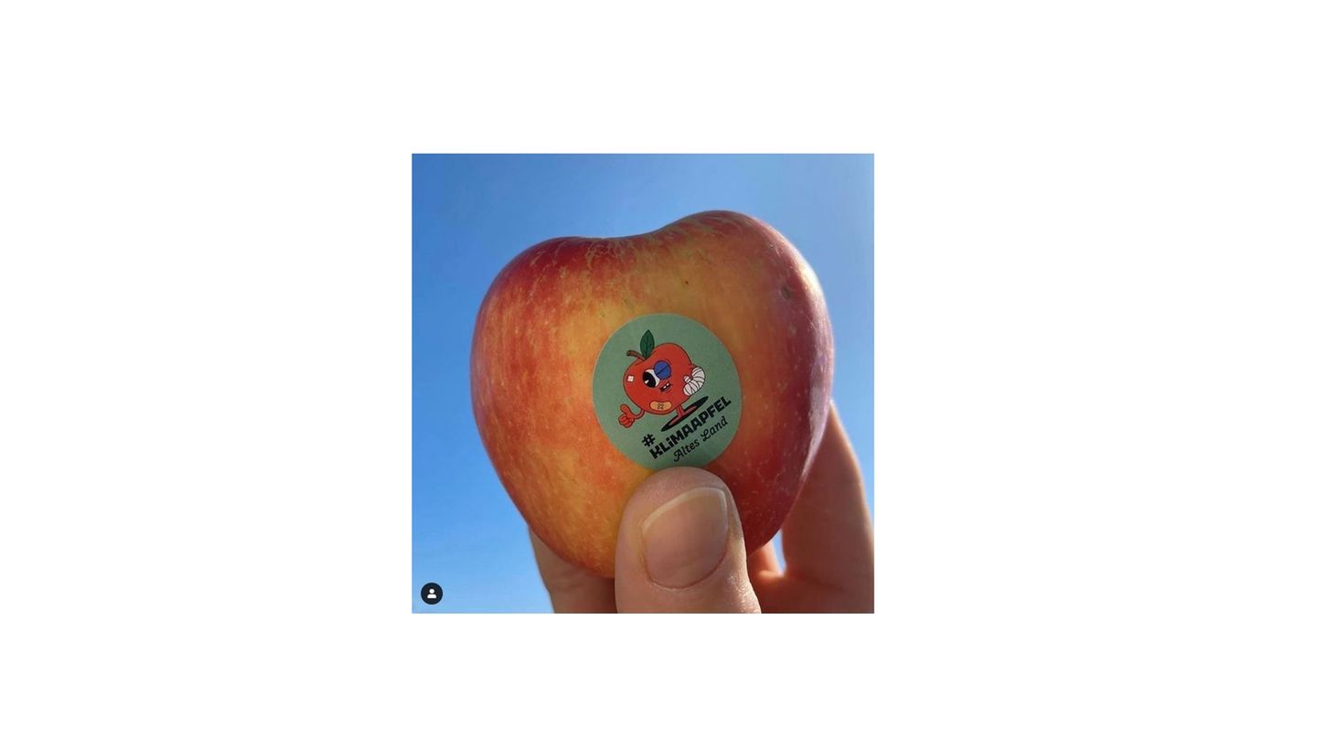 Klimaapfel bei “My Supper”: Ein Apfel mit Druckstellen und Klimaapfel-Aufkleber #klimaapfel