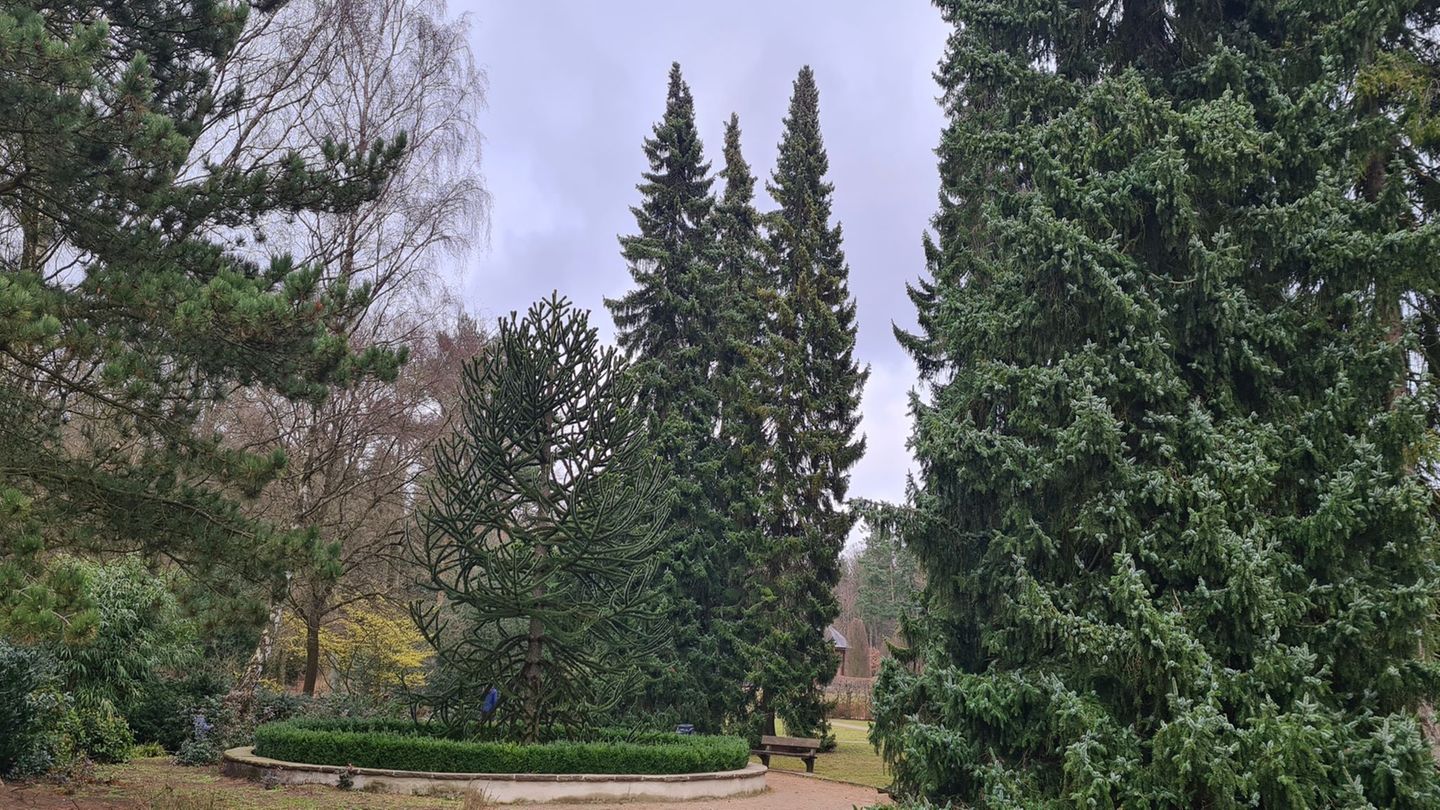 Idylle im Altonaer Volkspark