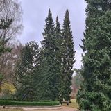 Idylle im Altonaer Volkspark