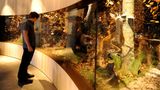 Im Wälderhaus befindet sich nicht nur ein Hotel, sondern auch eine Ausstellung: das Science Center Wald.