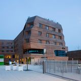 Der Name ist Programm: Im Wälderhaus in Wilhelmsburg dreht sich alles um das Thema Wald und Holz.