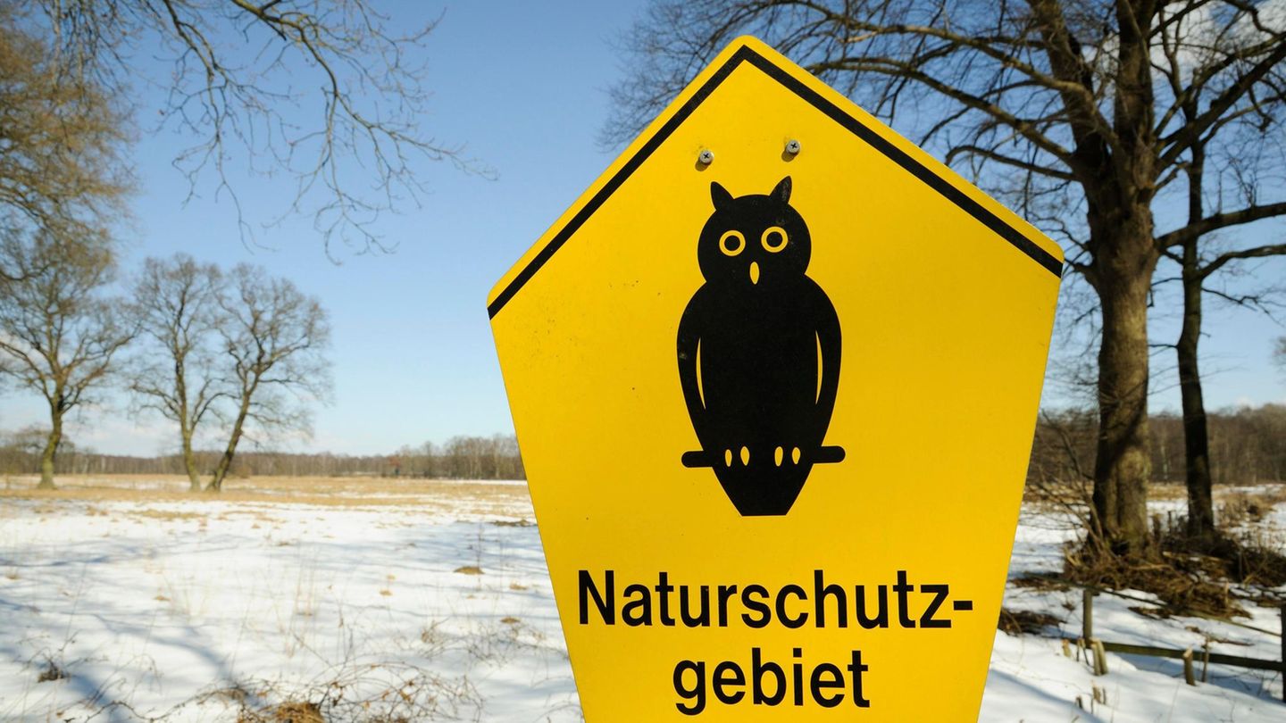 Naturschutzgebiet Wittmoor, Hamburg,