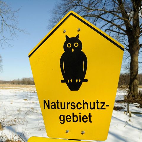 Naturschutzgebiet Wittmoor, Hamburg,